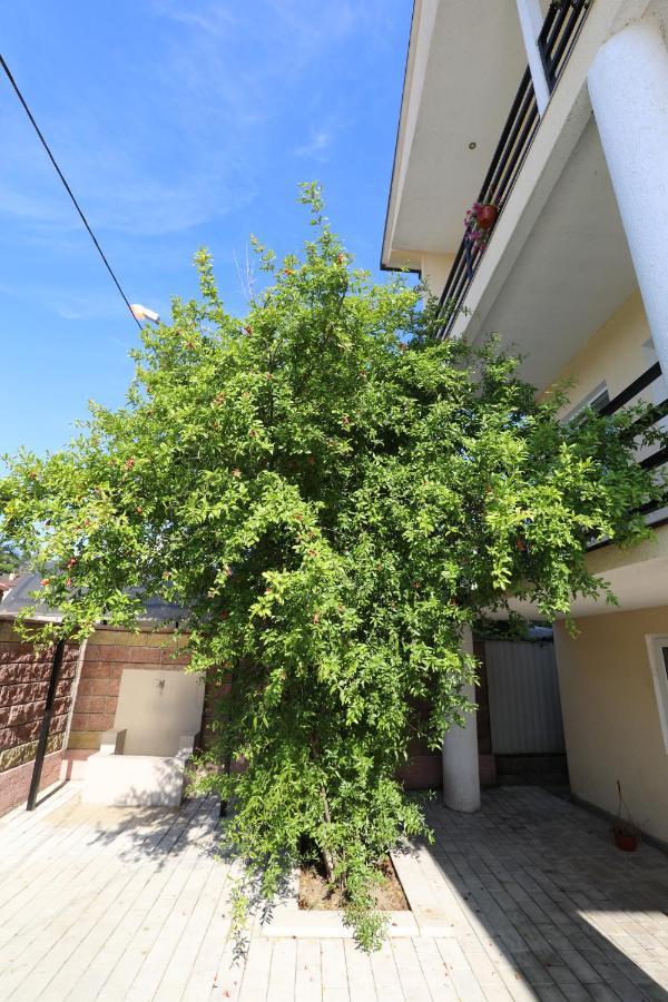 Rozalin Guest House Gudauta Luaran gambar